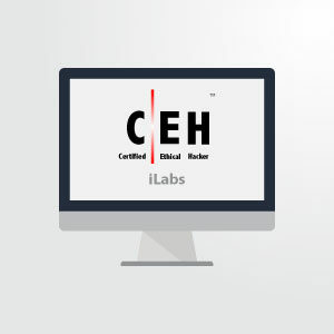 CEHv11 e-Courseware